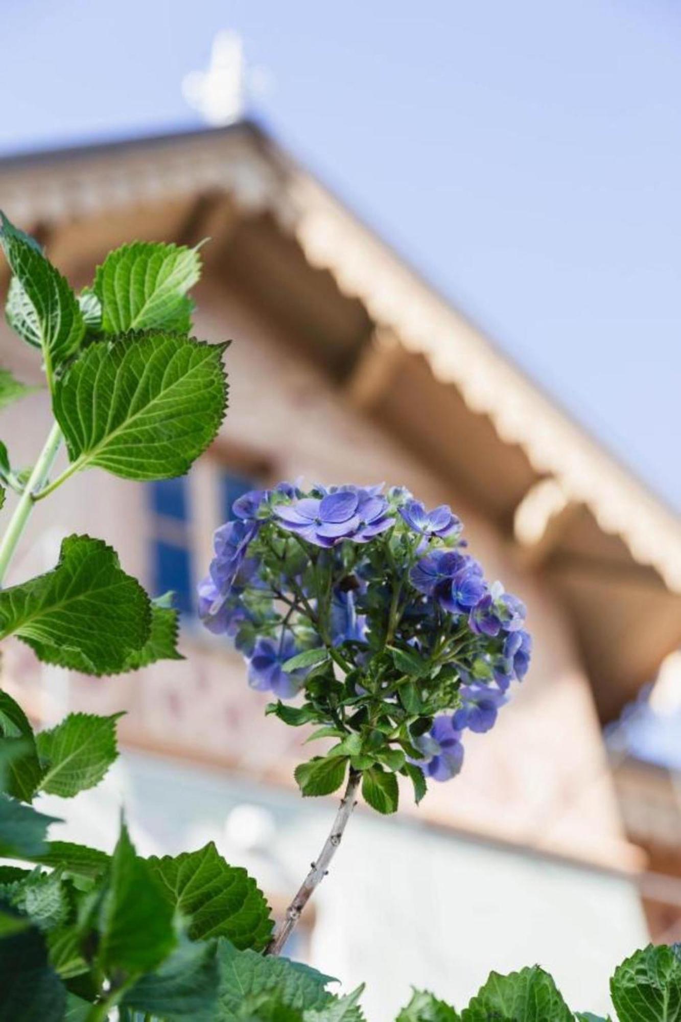 Bed and Breakfast Ca Meison- Lago Maggiore Cannobio Zewnętrze zdjęcie